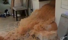 爆料房子被淹了视频大全,家园受损，共渡难关